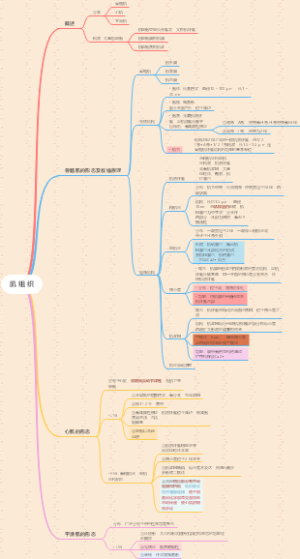肌肉组织