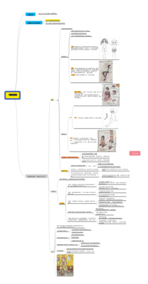 美术课程知识导图