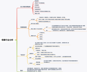 2021年母婴行业分析思维导图