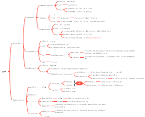 考研：实验心理学