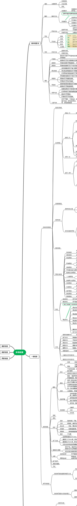 体格检查