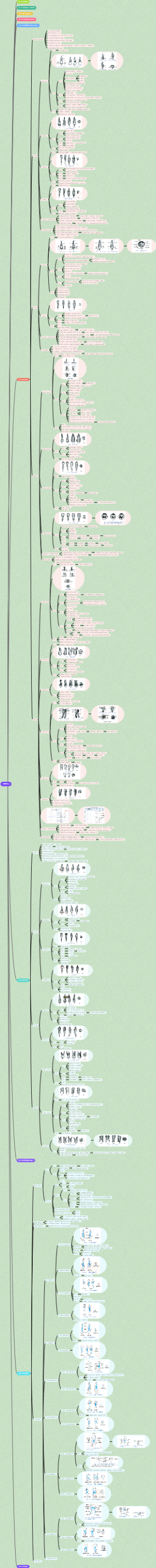 《口腔解剖生理学》第二章 牙体解剖生理