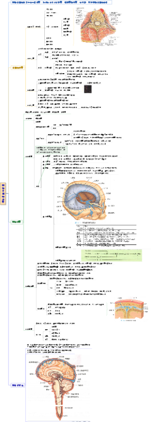 脑和脊髓的被膜
