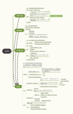 COPD慢性阻塞性肺疾病