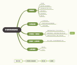 肿瘤特殊病理类型