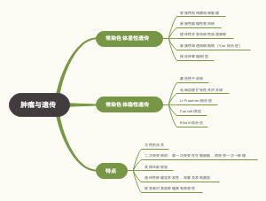 肿瘤与遗传