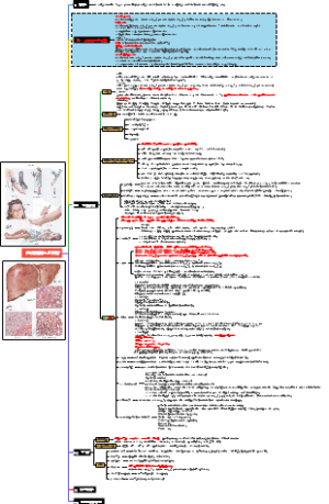 妇产科学 妊娠期高血压疾病