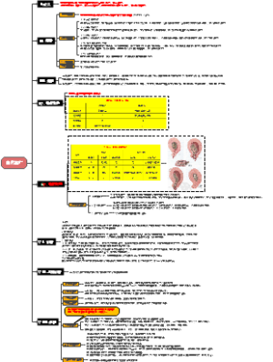 产科学 自然流产