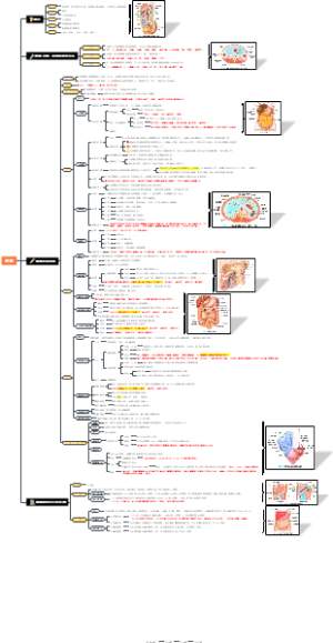 系统解剖 腹膜