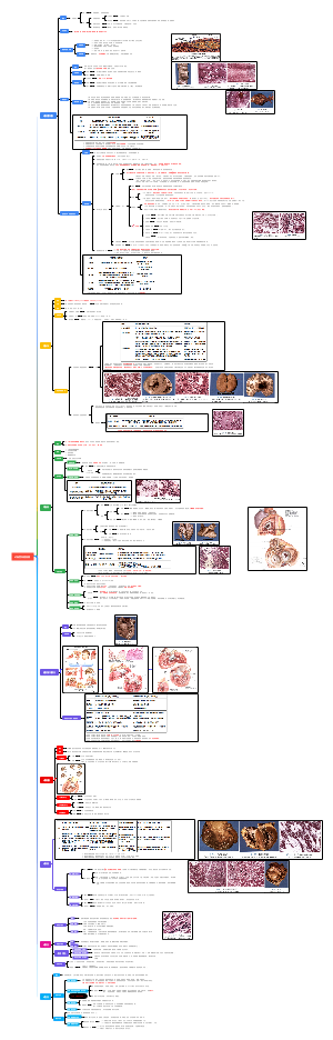 5.病理学 心血管系统疾病