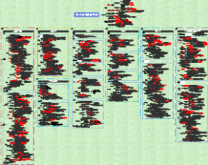 结、直肠与肛管疾病
