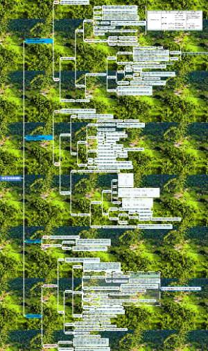 传出系统胆碱药