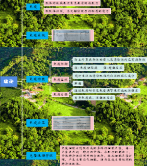 一.免疫学绪论