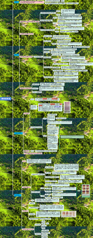 2.创伤的修复