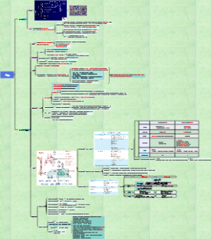 病理学10.血液系统疾病