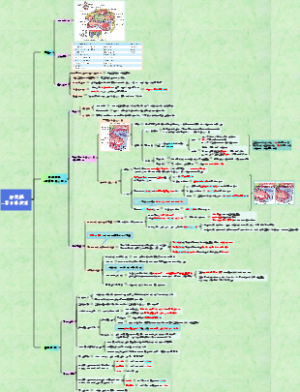 病理学11.泌尿系统疾病