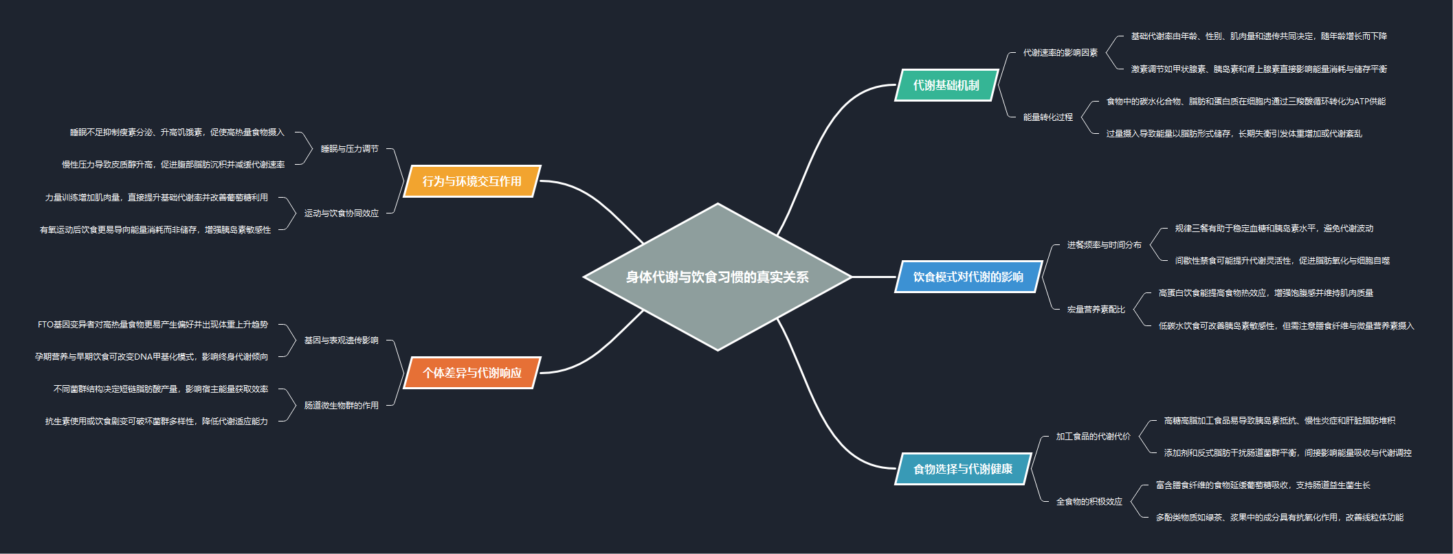 身体代谢与饮食习惯思维导图