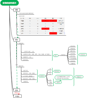 生物的结构层次