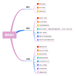 组织设计