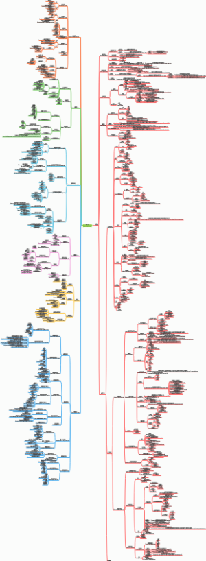 酶工程思维导图