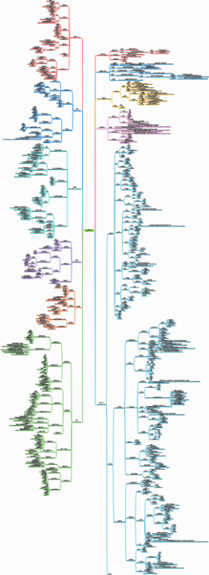 酶工程中英文对照思维导图