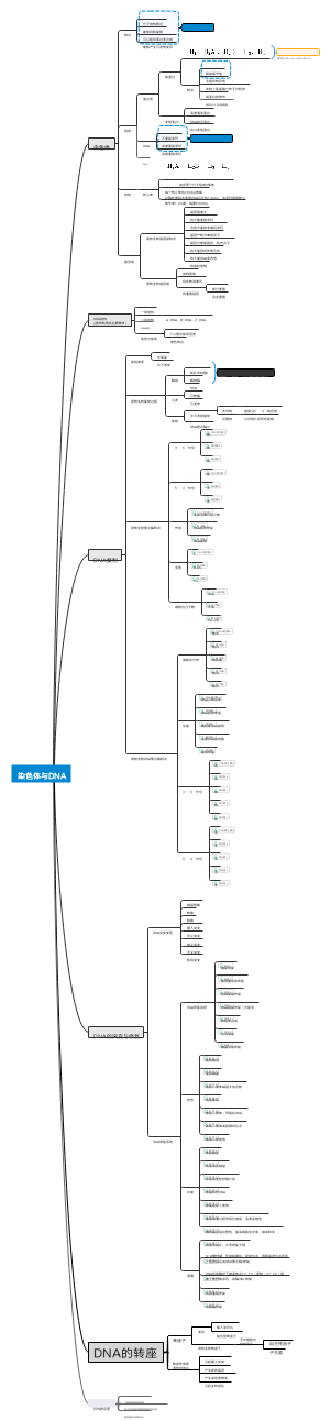 染色体与DNA思维导图