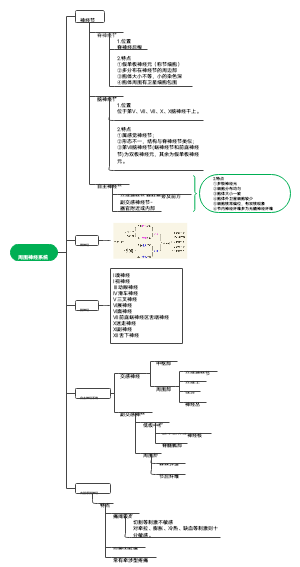 周围神经系统 思维导图
