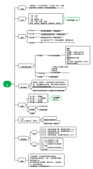 心思维导图