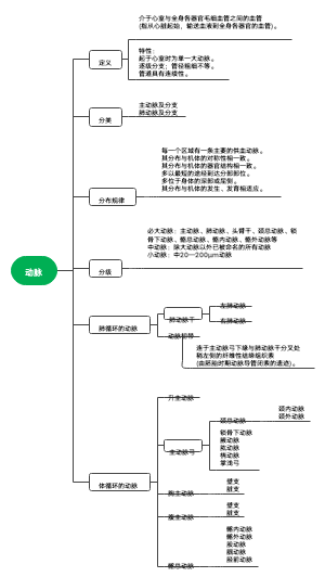 动脉思维导图