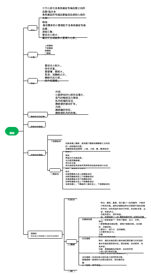 静脉思维导图