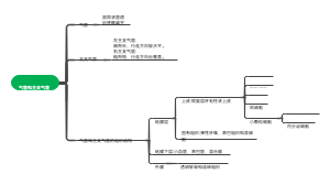 气管和主支气管 思维导图