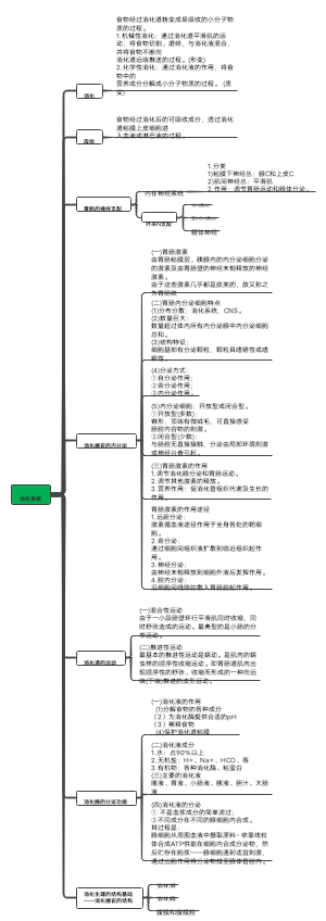 消化系统思维导图