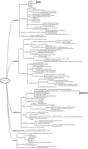 《亲密关系》第5章 沟通