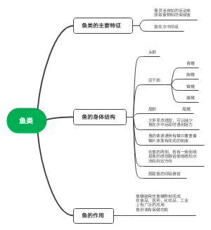 鱼类