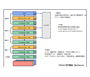 YOLOv8的骨干网络架构