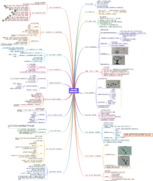 《让爱回家》读书笔记思维导图
