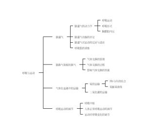 运动生理学（第三版）-呼吸与运动