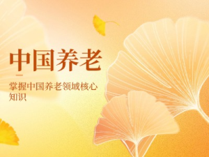 《中国养老》思维导图作品集