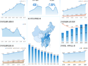 数据条、环形图、热力图、地图等简单数据分析