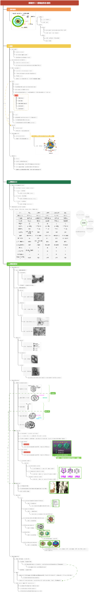 病毒学3.1 病毒的形态结构