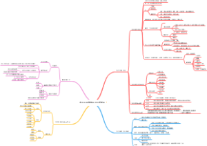 高三历史等级考-民族关系和国家关系