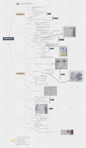 细胞生物学 第七章 细胞质基质与内膜系统