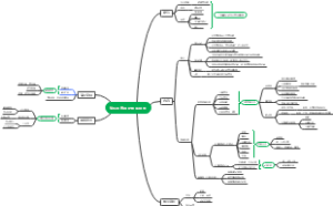 仙乐营养师IP框架导图