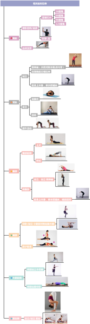 相关肌肉拉伸