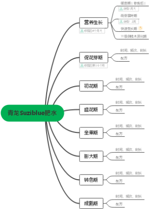 陆地蓝莓肥水管理