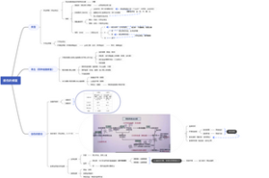 临床医学考研病理学-2损伤的修复