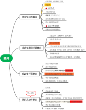 事业编考试：肺炎
