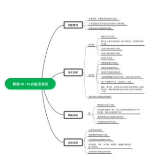 解剖10-13内脏系统问题