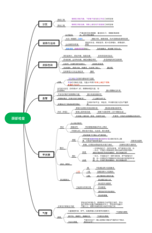 颈部检查
