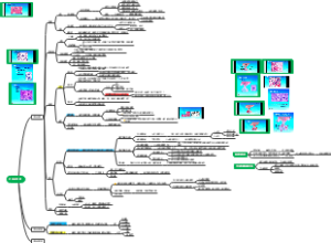 组胚：内分泌系统